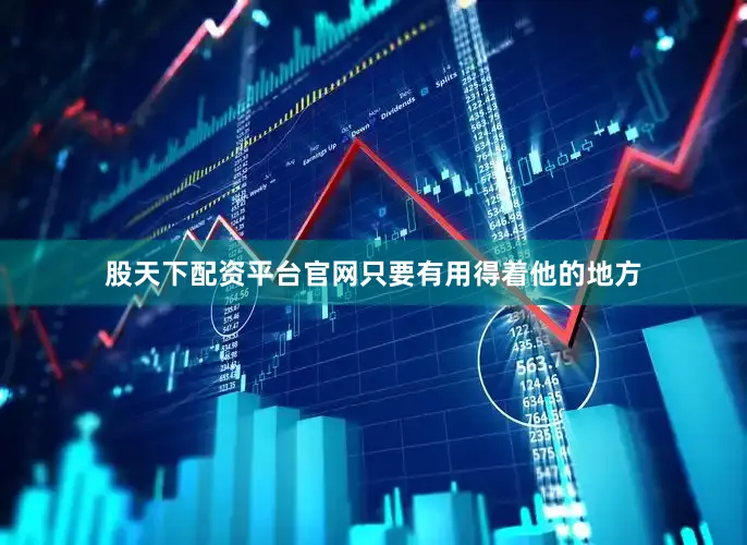 股天下配资平台官网只要有用得着他的地方
