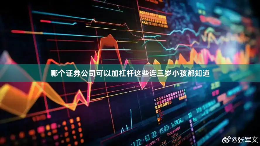 哪个证券公司可以加杠杆这些连三岁小孩都知道